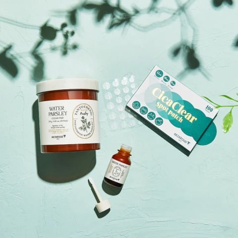SKINFOOD SKINFOOD CICA CLEAR SPOT PATCH