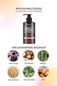 KUNDAL HONEY & MACADAMIA NATURE SHAMPOO 500ML- PINK GRAPEFRUIT