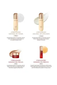 CHOGONGJIN GEUMSUL NOURISHING CARE ESSENTIAL SET [2 PIECE]
